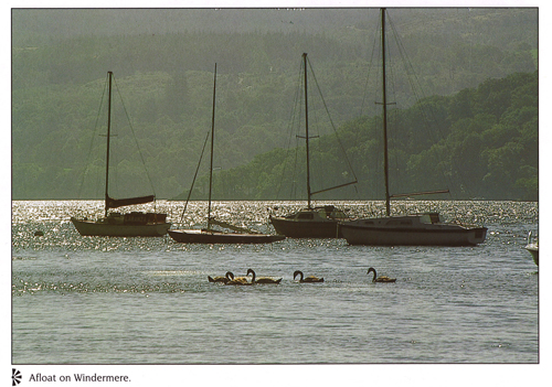 Afloat on Windermere postcards